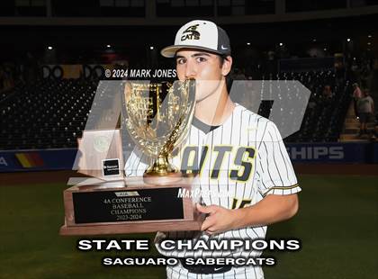 Thumbnail 3 in  Saguaro vs. Canyon del Oro (AIA 4A Final - Awards) photogallery.