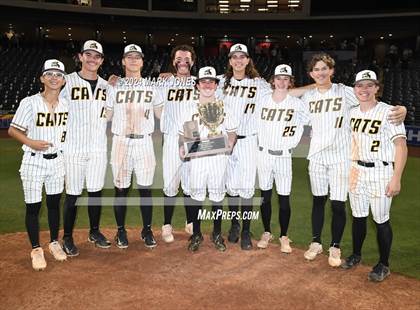 Thumbnail 1 in  Saguaro vs. Canyon del Oro (AIA 4A Final - Awards) photogallery.