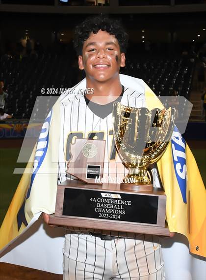 Thumbnail 2 in  Saguaro vs. Canyon del Oro (AIA 4A Final - Awards) photogallery.
