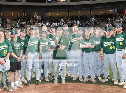 Thumbnail 2 in  Saguaro vs. Canyon del Oro (AIA 4A Final - Awards) photogallery.