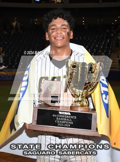 Thumbnail 3 in  Saguaro vs. Canyon del Oro (AIA 4A Final - Awards) photogallery.
