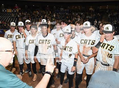 Thumbnail 1 in  Saguaro vs. Canyon del Oro (AIA 4A Final - Awards) photogallery.