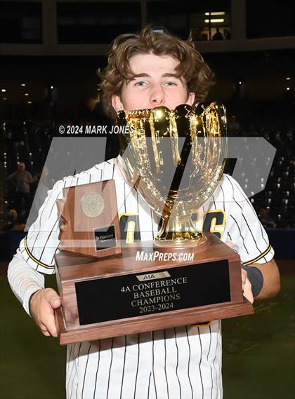 Thumbnail 3 in  Saguaro vs. Canyon del Oro (AIA 4A Final - Awards) photogallery.