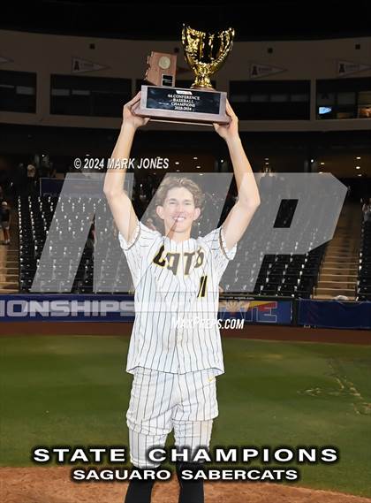 Thumbnail 2 in  Saguaro vs. Canyon del Oro (AIA 4A Final - Awards) photogallery.