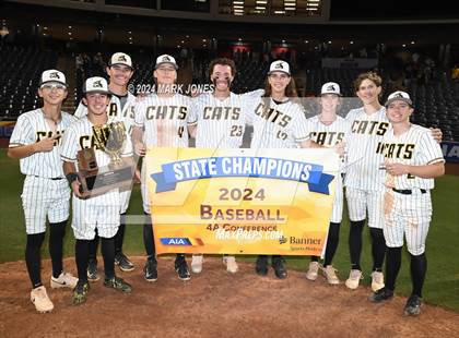 Thumbnail 2 in  Saguaro vs. Canyon del Oro (AIA 4A Final - Awards) photogallery.