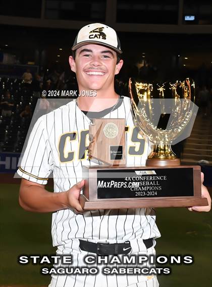 Thumbnail 3 in  Saguaro vs. Canyon del Oro (AIA 4A Final - Awards) photogallery.