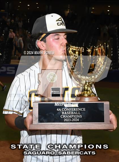 Thumbnail 2 in  Saguaro vs. Canyon del Oro (AIA 4A Final - Awards) photogallery.