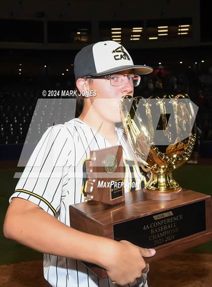 Thumbnail 3 in  Saguaro vs. Canyon del Oro (AIA 4A Final - Awards) photogallery.