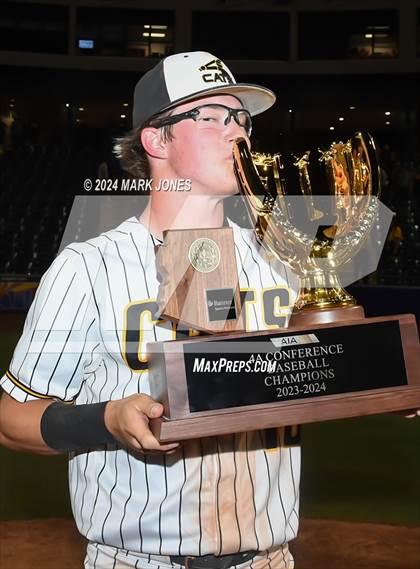Thumbnail 2 in  Saguaro vs. Canyon del Oro (AIA 4A Final - Awards) photogallery.