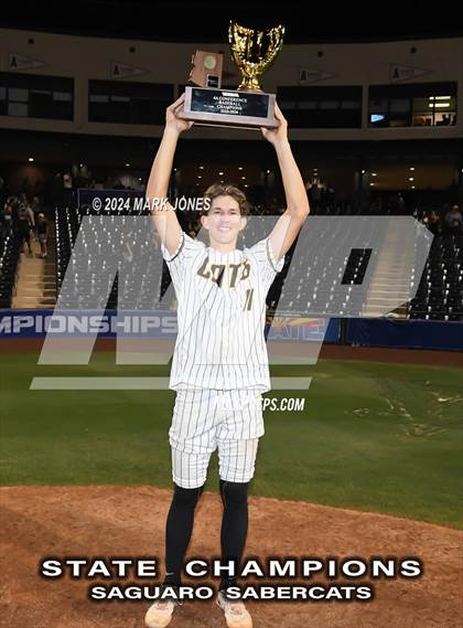 Thumbnail 3 in  Saguaro vs. Canyon del Oro (AIA 4A Final - Awards) photogallery.