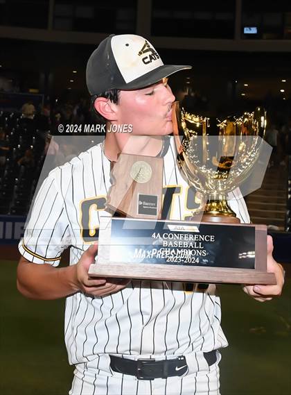 Thumbnail 1 in  Saguaro vs. Canyon del Oro (AIA 4A Final - Awards) photogallery.