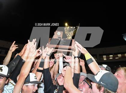 Thumbnail 1 in  Saguaro vs. Canyon del Oro (AIA 4A Final - Awards) photogallery.