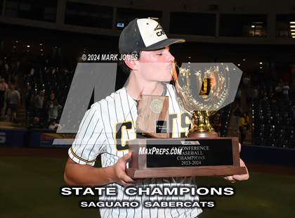 Thumbnail 1 in  Saguaro vs. Canyon del Oro (AIA 4A Final - Awards) photogallery.