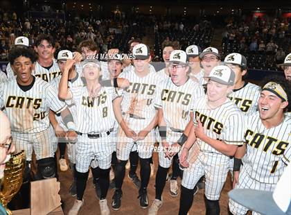 Thumbnail 2 in  Saguaro vs. Canyon del Oro (AIA 4A Final - Awards) photogallery.
