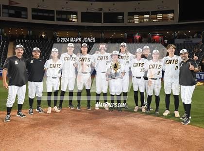 Thumbnail 2 in  Saguaro vs. Canyon del Oro (AIA 4A Final - Awards) photogallery.