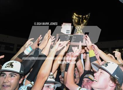 Thumbnail 1 in  Saguaro vs. Canyon del Oro (AIA 4A Final - Awards) photogallery.