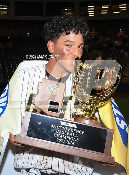 Thumbnail 1 in  Saguaro vs. Canyon del Oro (AIA 4A Final - Awards) photogallery.