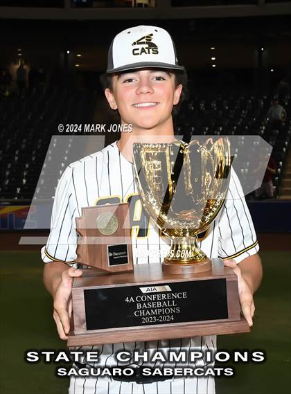 Thumbnail 1 in  Saguaro vs. Canyon del Oro (AIA 4A Final - Awards) photogallery.
