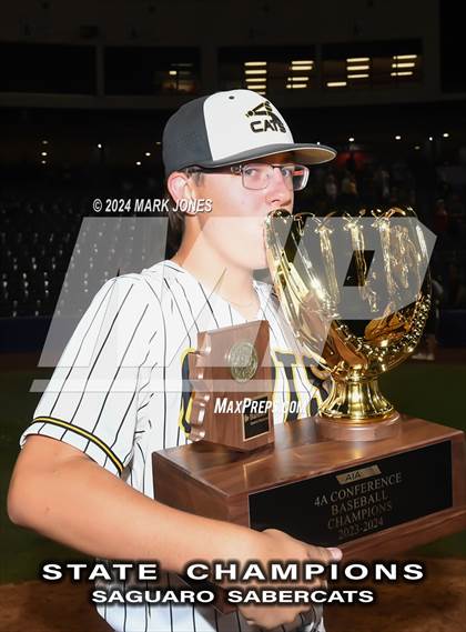 Thumbnail 1 in  Saguaro vs. Canyon del Oro (AIA 4A Final - Awards) photogallery.