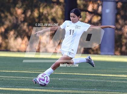 Thumbnail 3 in Lincoln vs. Maria Carrillo photogallery.
