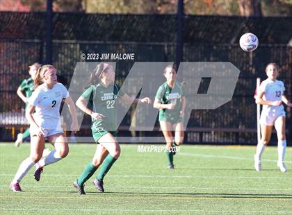 Thumbnail 3 in Lincoln vs. Maria Carrillo photogallery.
