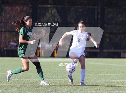 Thumbnail 1 in Lincoln vs. Maria Carrillo photogallery.