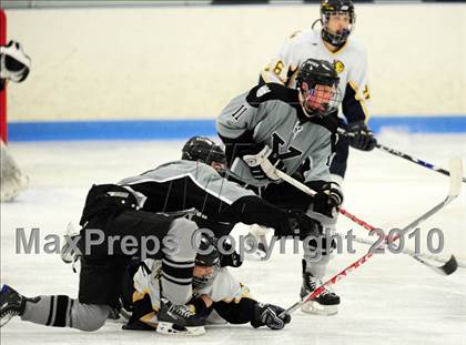 Thumbnail 1 in Xavier @ East Haven photogallery.