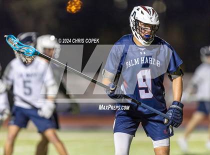 Thumbnail 2 in Palm Harbor University @ Calvary Christian photogallery.