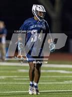 Photo from the gallery "Palm Harbor University @ Calvary Christian"