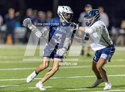 Thumbnail 2 in Palm Harbor University @ Calvary Christian photogallery.