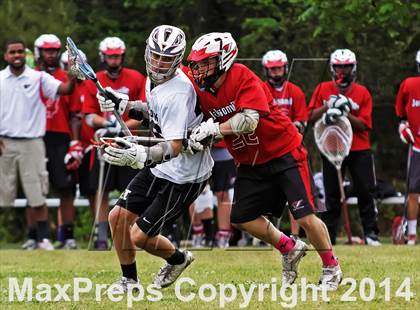 Thumbnail 1 in Jacksonville @ Havelock photogallery.