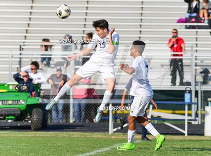 Thumbnail 1 in Osbourn @ Hylton photogallery.
