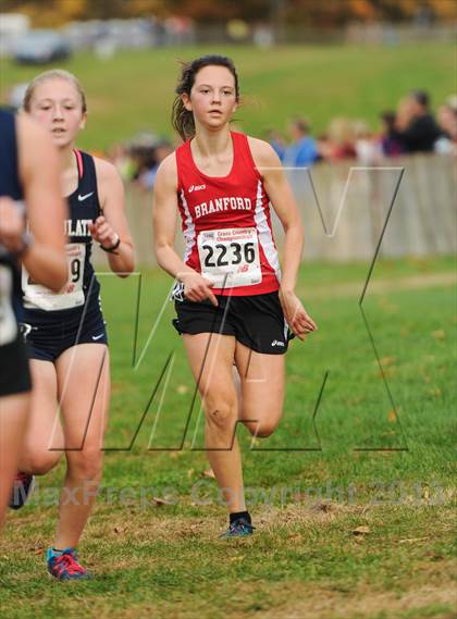 Thumbnail 3 in CIAC Cross Country Championships (Girls Open) photogallery.