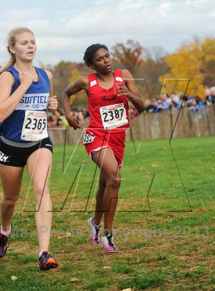 Thumbnail 1 in CIAC Cross Country Championships (Girls Open) photogallery.