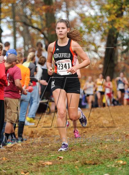 Thumbnail 1 in CIAC Cross Country Championships (Girls Open) photogallery.