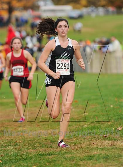 Thumbnail 1 in CIAC Cross Country Championships (Girls Open) photogallery.