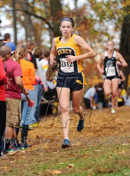 Thumbnail 1 in CIAC Cross Country Championships (Girls Open) photogallery.