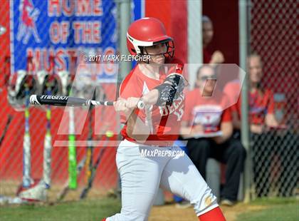 Thumbnail 1 in Delsea @ Triton photogallery.