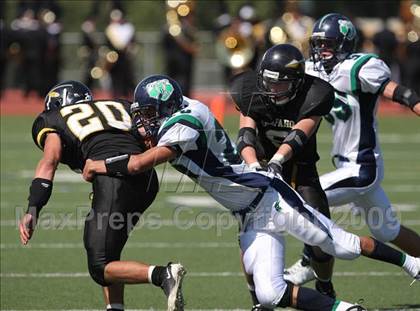 Thumbnail 3 in ThunderRidge @ Arapahoe photogallery.