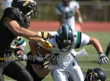 Thumbnail 1 in ThunderRidge @ Arapahoe photogallery.