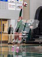 Photo from the gallery "Rangeview @ Fossil Ridge (CHSAA 5A Region 5)"