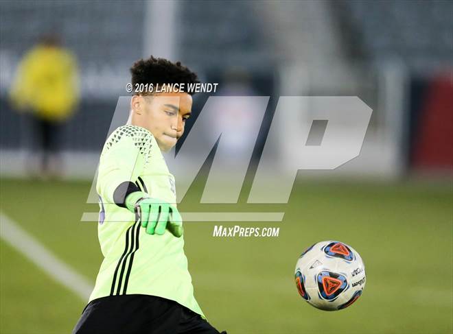null - Photo 11