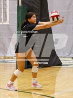Photo from the gallery "Layton vs. Twin Falls"