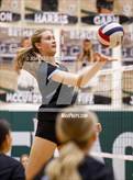 Photo from the gallery "Layton vs. Twin Falls"