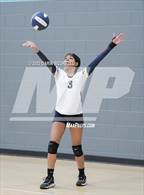 Photo from the gallery "American Leadership Academy - Anthem South vs Sequoia Pathway (Epic Tourneys Volleyball Invite)"