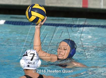 Thumbnail 3 in Murrieta Valley vs El Toro (CIF-SS D2 Final) photogallery.