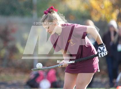 Thumbnail 2 in Carle Place vs Whitney Point (NYSPHSAA Class C Final) photogallery.