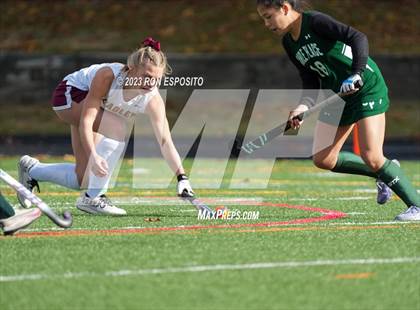 Thumbnail 2 in Carle Place vs Whitney Point (NYSPHSAA Class C Final) photogallery.