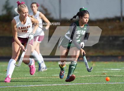 Thumbnail 1 in Carle Place vs Whitney Point (NYSPHSAA Class C Final) photogallery.