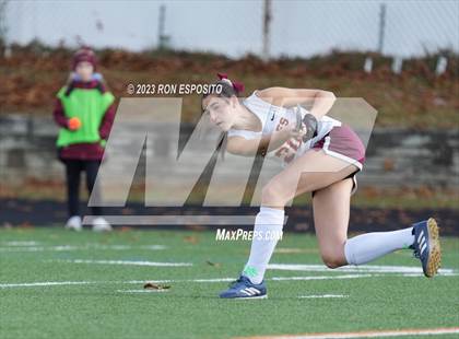 Thumbnail 1 in Carle Place vs Whitney Point (NYSPHSAA Class C Final) photogallery.